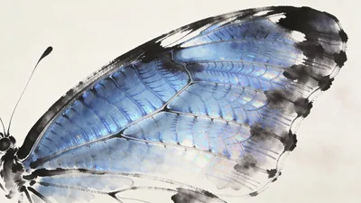 Visual depiction of A blue morpho butterfly wing scale structure at extreme magnification
