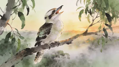 Visual depiction of A kookaburra perched on a eucalyptus branch at dawn