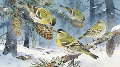 Visual depiction of A pine siskin flock feeding on spruce cones in a winter conifer forest