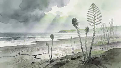 Visual depiction of First land plants — tiny Cooksonia — colonising a Silurian mudflat at the edge of a retreating sea